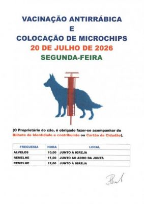Vacina&ccedil;&atilde;o Antirr&aacute;bica