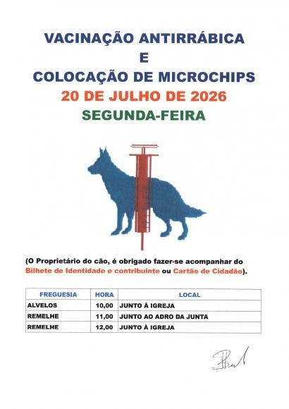 Vacina&ccedil;&atilde;o Antirr&aacute;bica